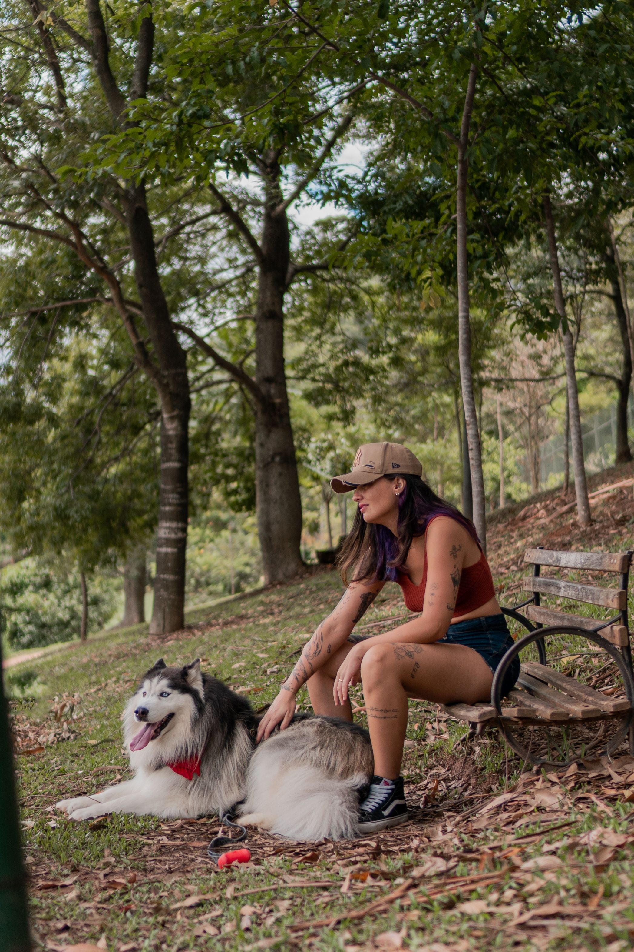 files/pexels-wolfart-15461439.jpg